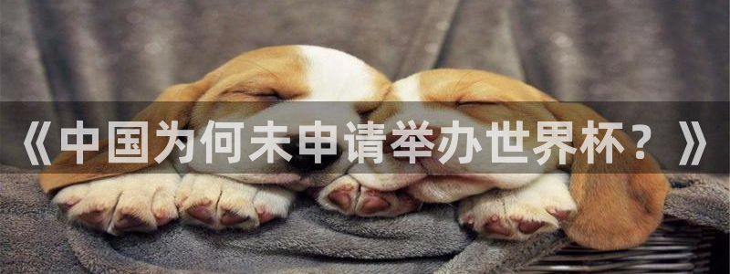 世界杯欧洲区预选赛：《中国为何未申请举办世界杯？》