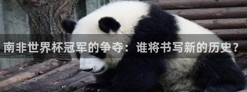 世界杯16强赛程表：南非世界杯冠军的争夺：谁将书写新的历史？