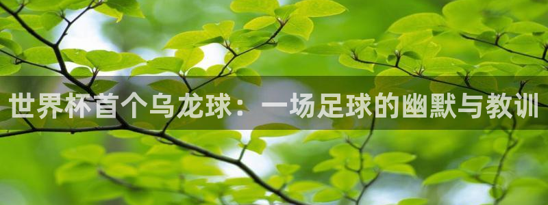 世界杯预选赛赛程：世界杯首个乌龙球：一场足球的幽默与教训