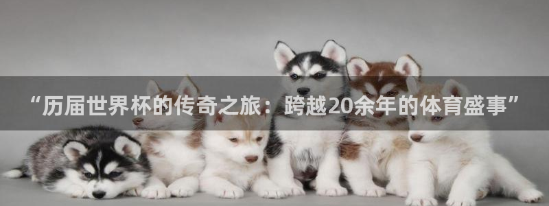 2026年世界杯直播平台：“历届世界杯的传奇之旅：跨越20余年的体育盛事”