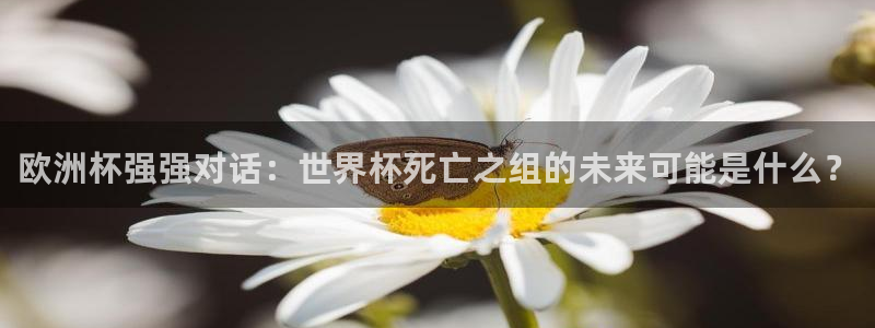 世界杯预选赛2026：欧洲杯强强对话：世界杯死亡之组的未来可能是什么？