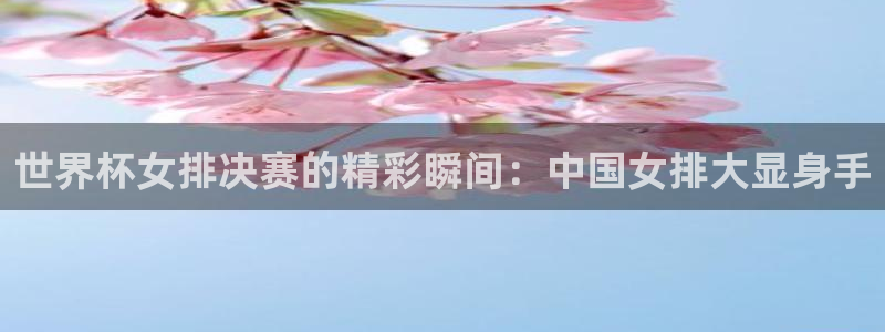 世界杯附加赛赛程表：世界杯女排决赛的精彩瞬间：中国女排大显身手
