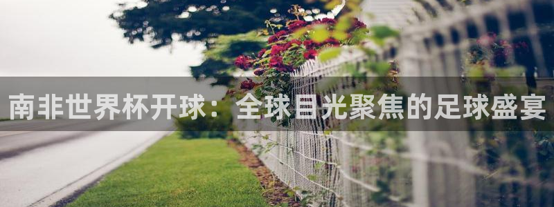 2026世界杯亚洲预选赛赛程:南非世界杯开球:全球目光聚焦的足球盛宴