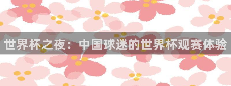 2026世界杯中国队：世界杯之夜：中国球迷的世界杯观赛体验