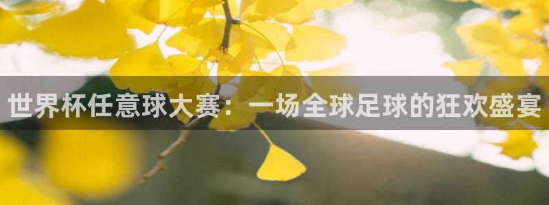 世界杯在线直播入口：世界杯任意球大赛：一场全球足球的狂欢盛宴