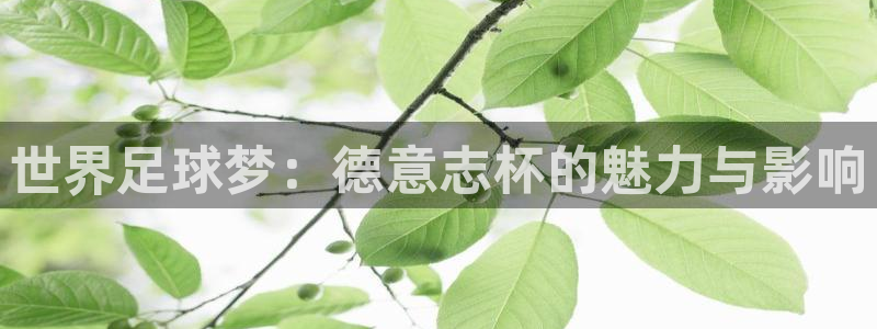 2026世预赛全部赛程：世界足球梦：德意志杯的魅力与影响