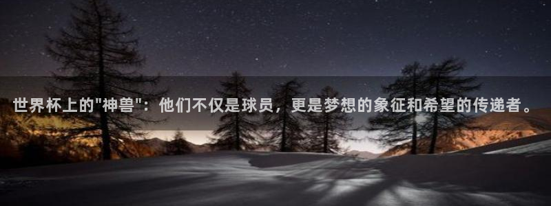 世界杯比赛赛程：世界杯上的\