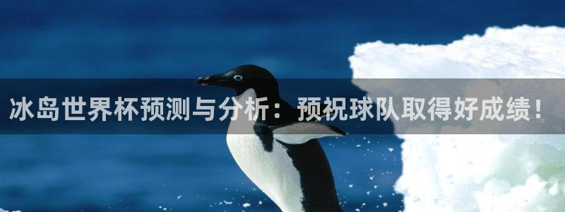 世界杯2026赛程表：冰岛世界杯预测与分析：预祝球队取得好成绩！
